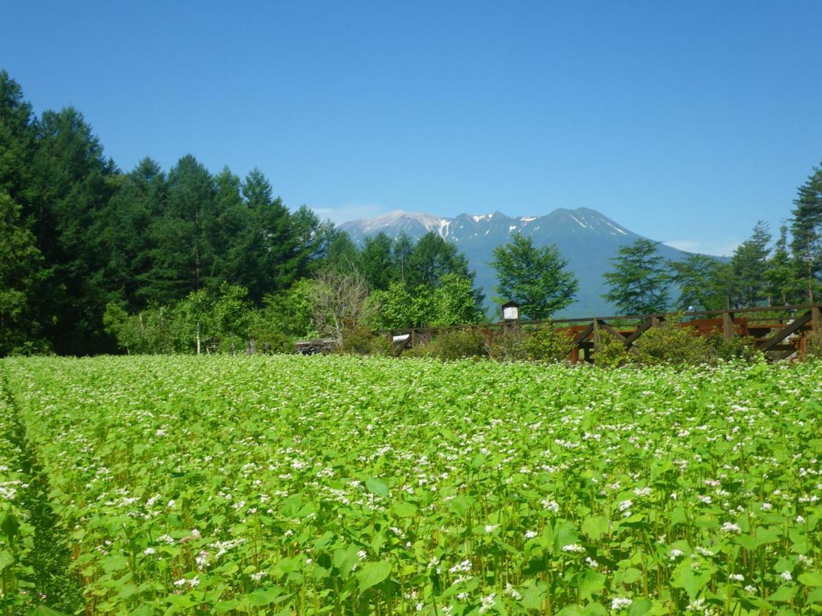 Hotel Onyado Tsutaya à Kiso Extérieur photo